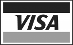 accepts visa